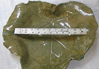 Large Leaf Bowl by Teresa Yost, sculptor